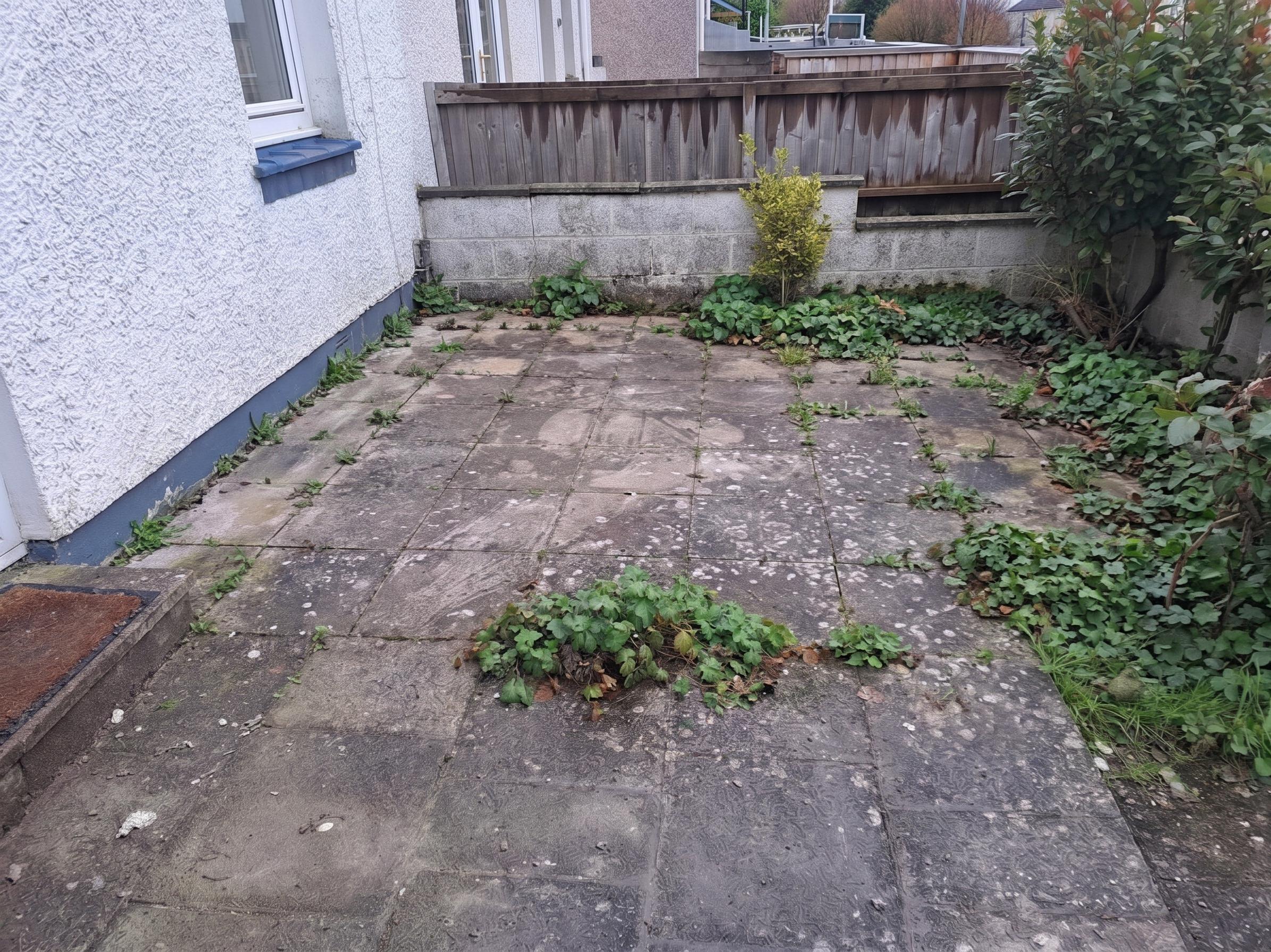 After: cleared and tidy property